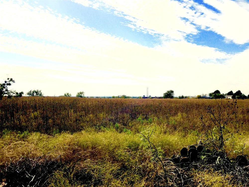 4404 Fm 603 Clyde, TX 79510
