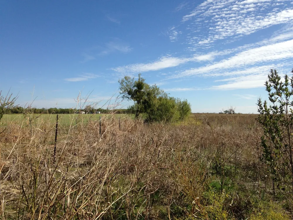4404 Fm 603 Clyde, TX 79510