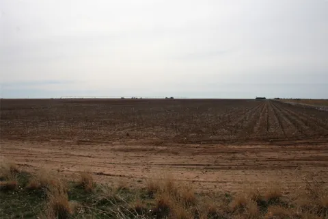 FM266 Corner