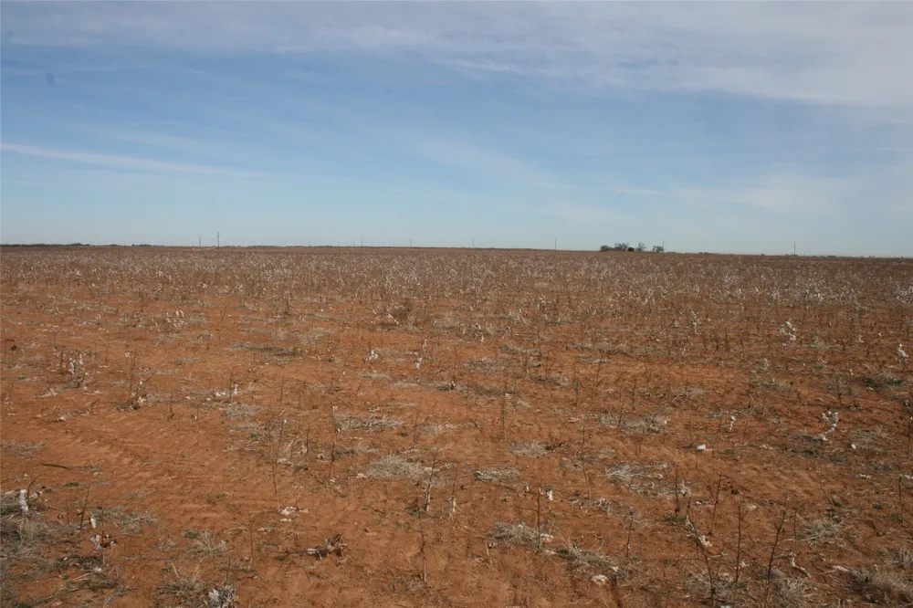 FM266 Corner Goree, TX 76363