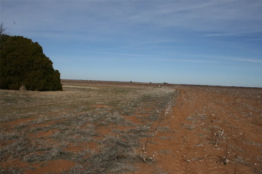 FM266 Corner Goree, TX 76363