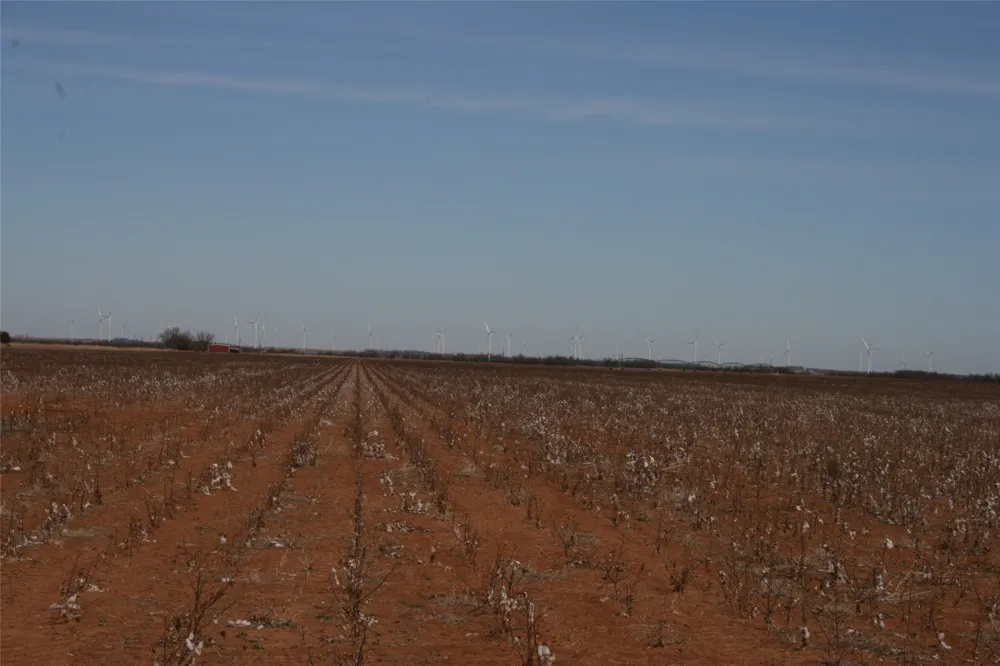 FM266 Corner Goree, TX 76363