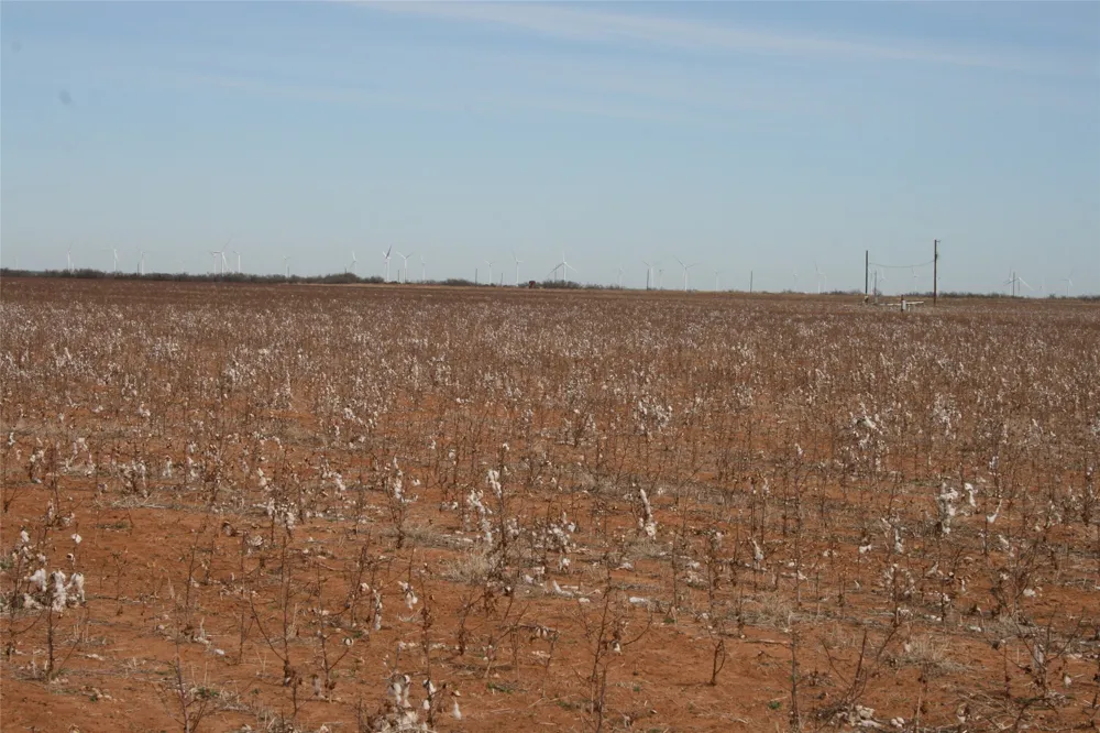 FM266 Corner Goree, TX 76363