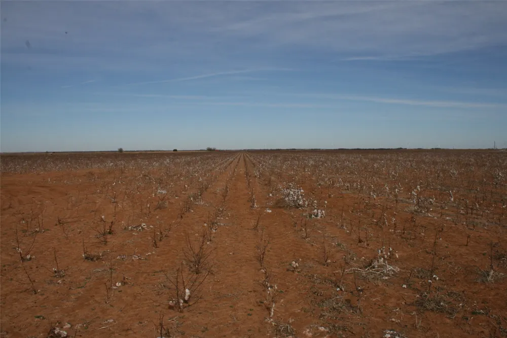 FM266 Corner Goree, TX 76363
