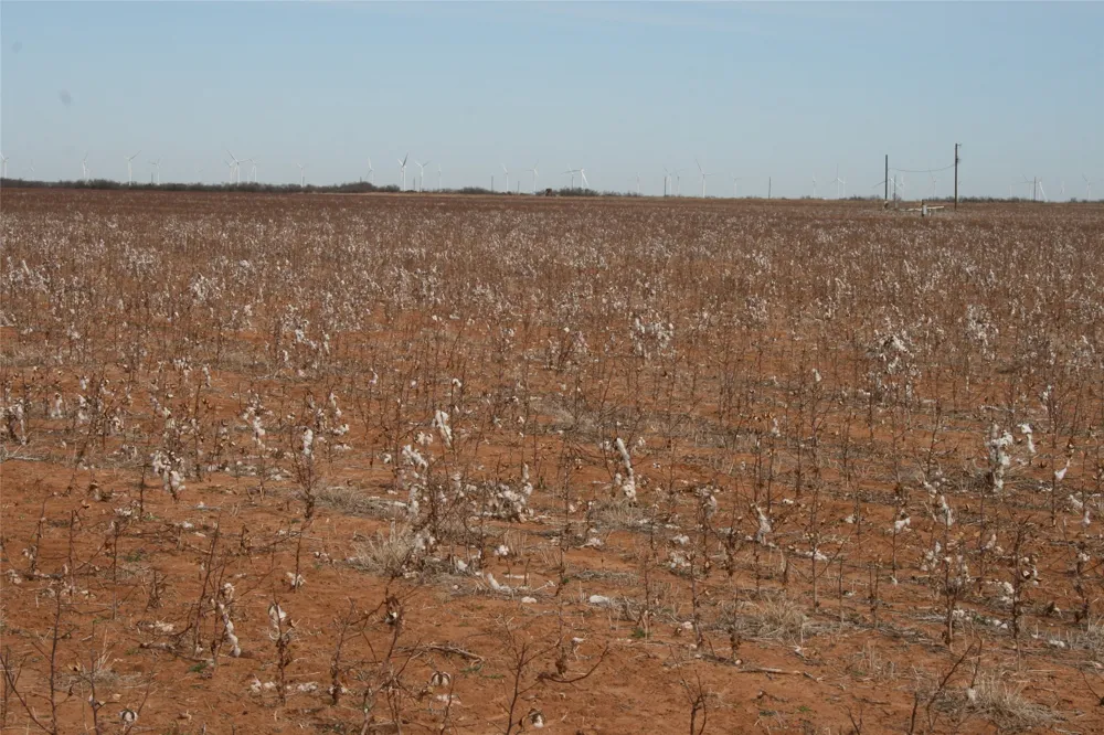 FM266 Corner Goree, TX 76363