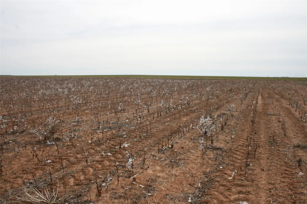 FM266 Corner Goree, TX 76363