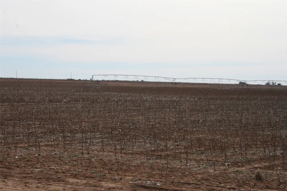 FM266 Corner Goree, TX 76363