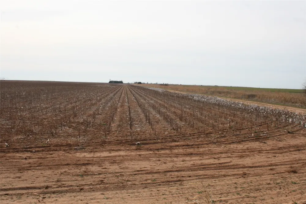 FM266 Corner Goree, TX 76363