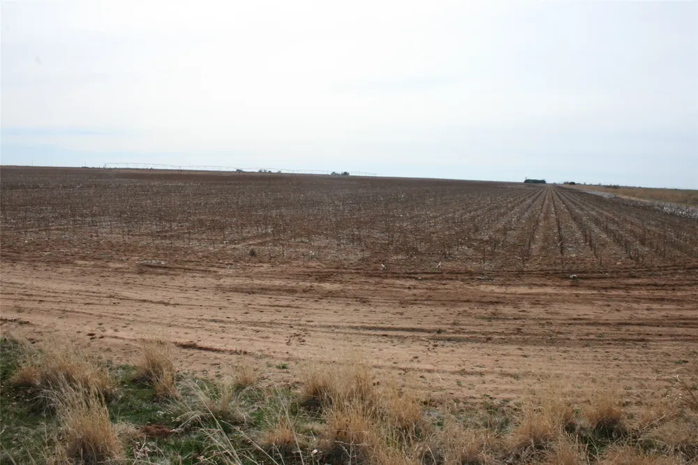 FM266 Corner Goree, TX 76363