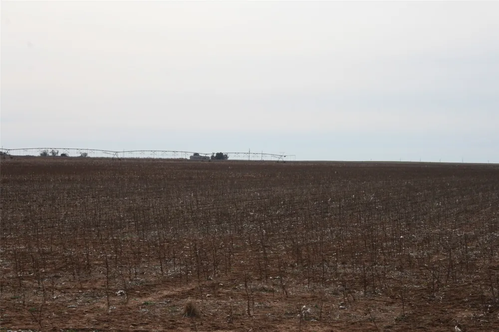 FM266 Corner Goree, TX 76363