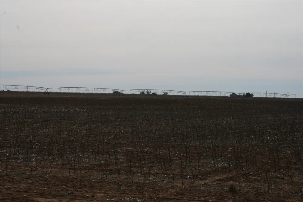 FM266 Corner Goree, TX 76363