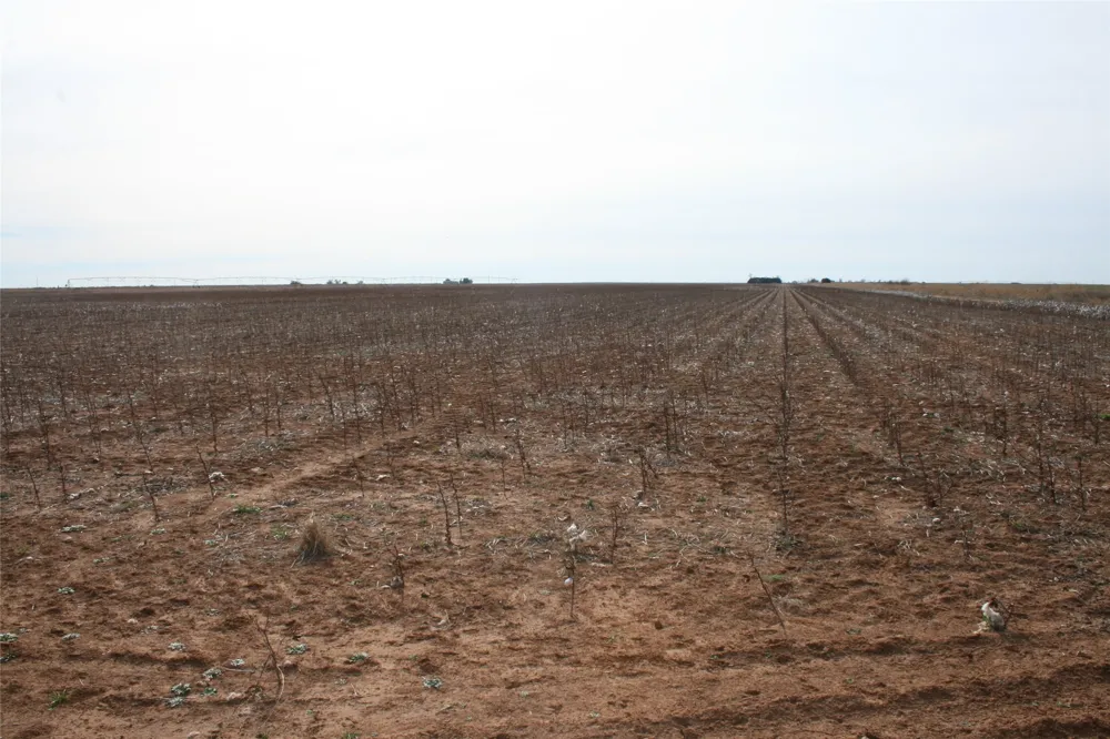FM266 Corner Goree, TX 76363