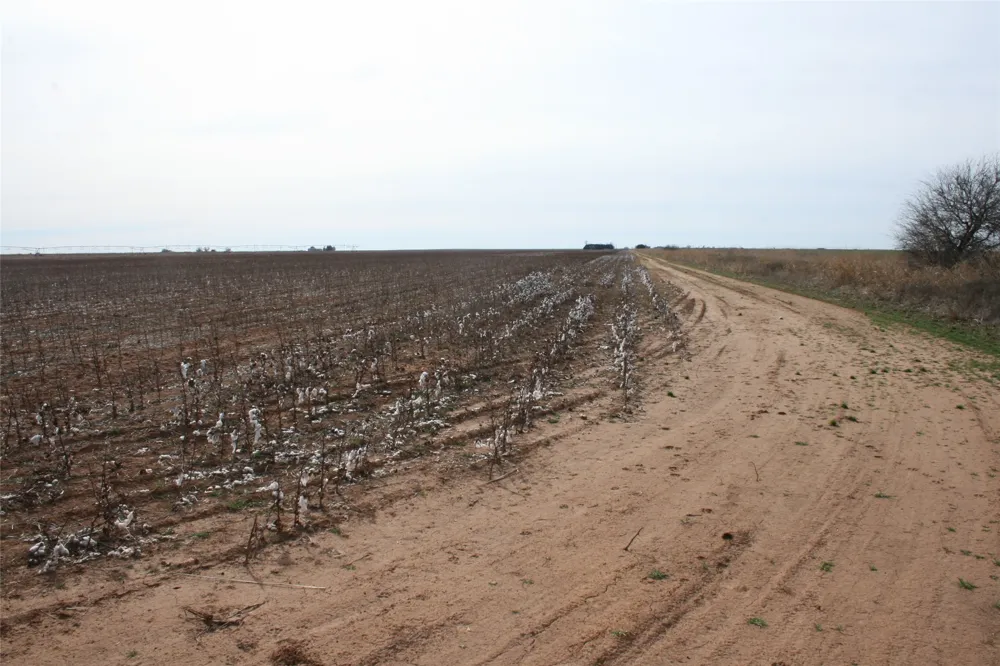 FM266 Corner Goree, TX 76363