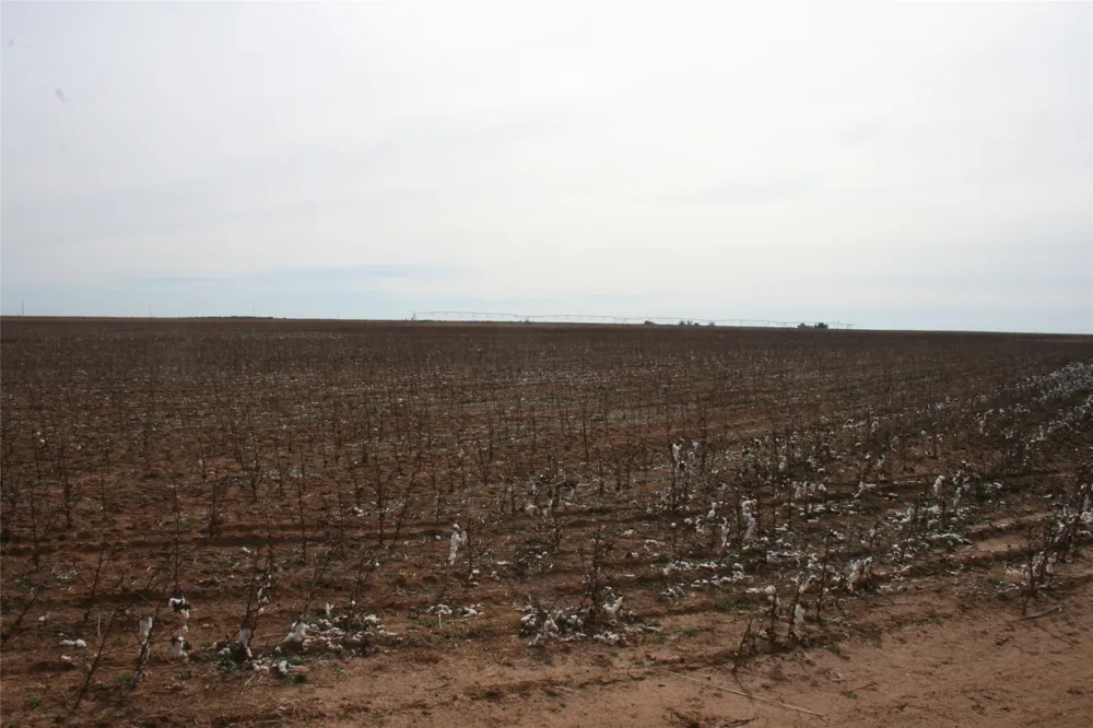 FM266 Corner Goree, TX 76363