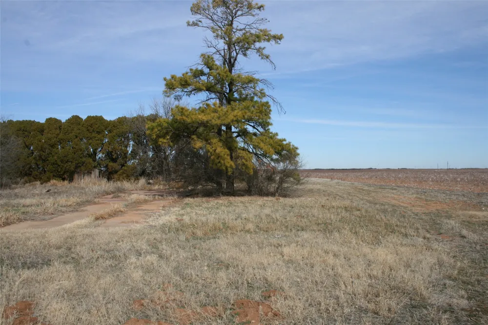 FM266 Corner Goree, TX 76363