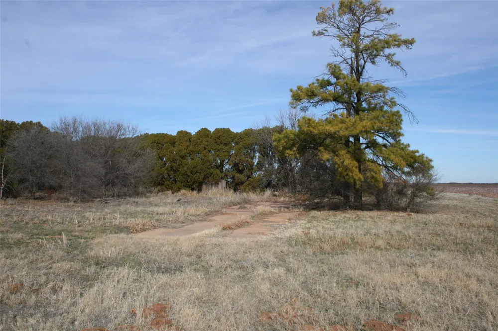 FM266 Corner Goree, TX 76363