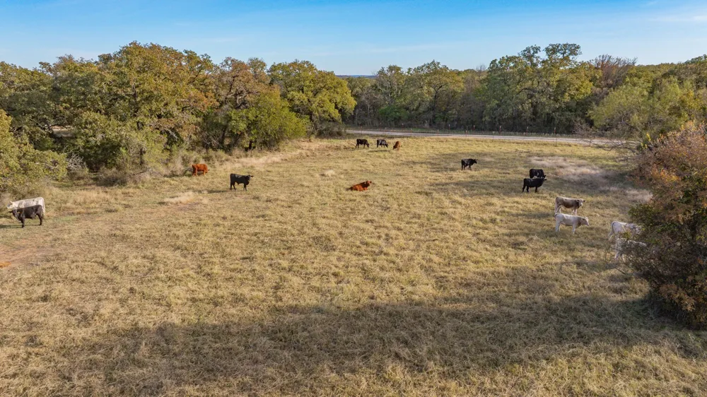 7203 Pump Station Road Jacksboro, TX 76458