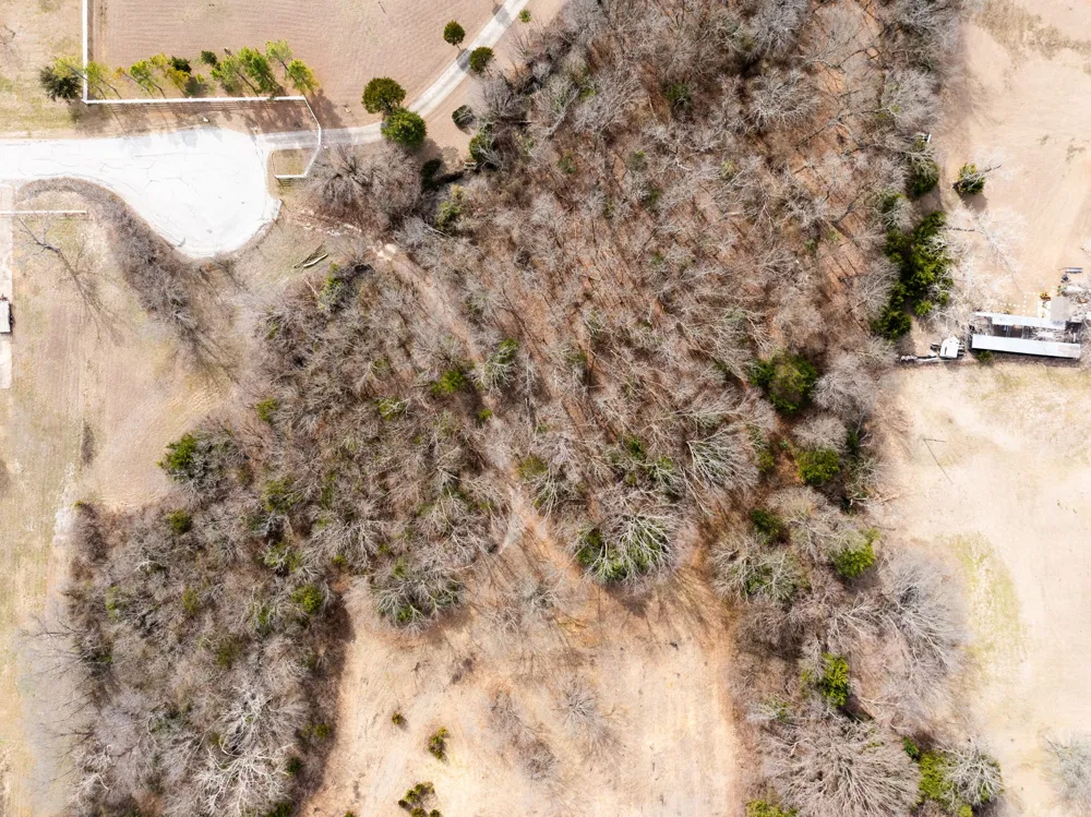 1407 Ponderosa Trail Sachse, TX 75048