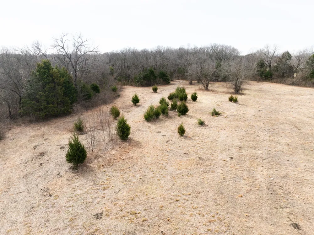 1407 Ponderosa Trail Sachse, TX 75048