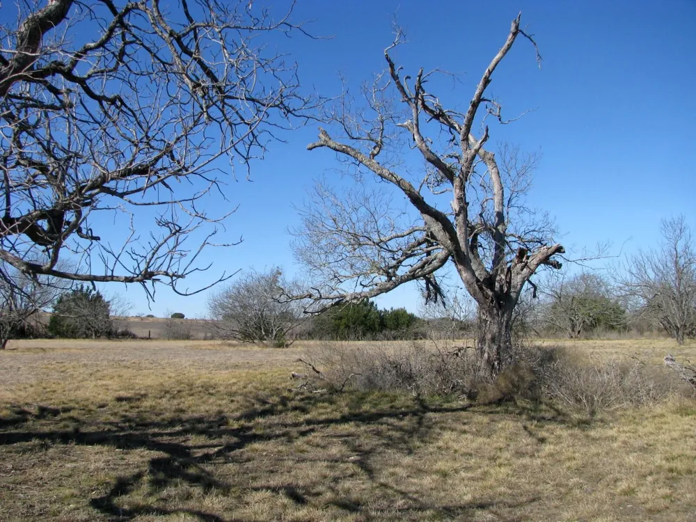 Old Pidcoke Road Gatesville, TX 76528