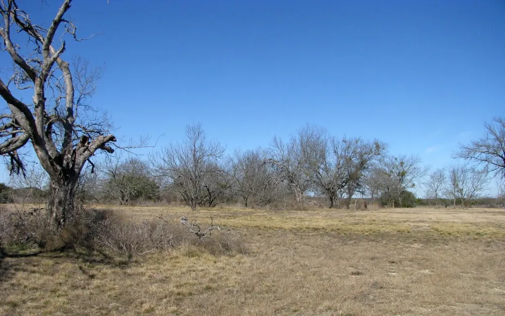 Old Pidcoke Road Gatesville, TX 76528