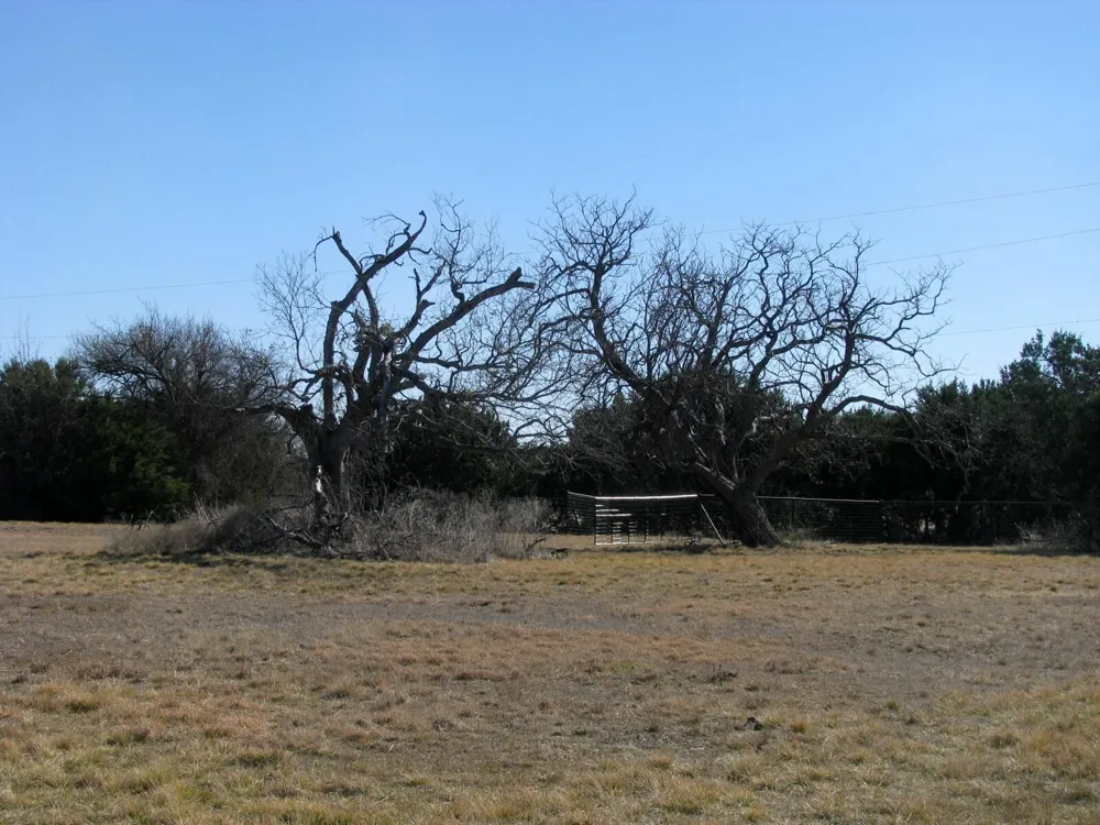 Old Pidcoke Road Gatesville, TX 76528