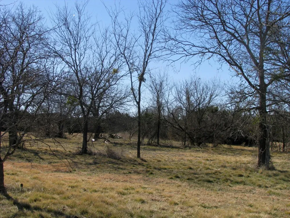 Old Pidcoke Road Gatesville, TX 76528