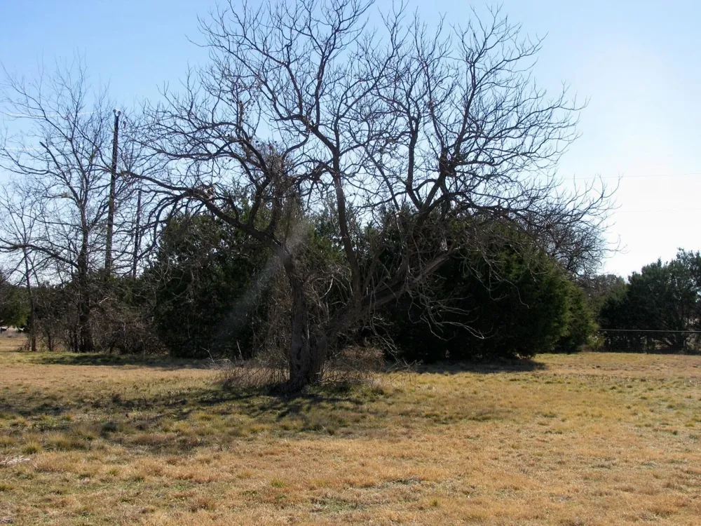 Old Pidcoke Road Gatesville, TX 76528