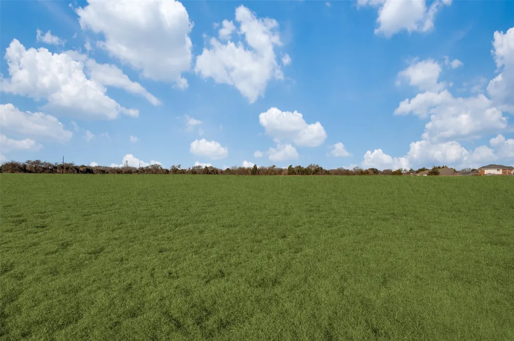 221 W Parkerville Road DeSoto, TX 75115