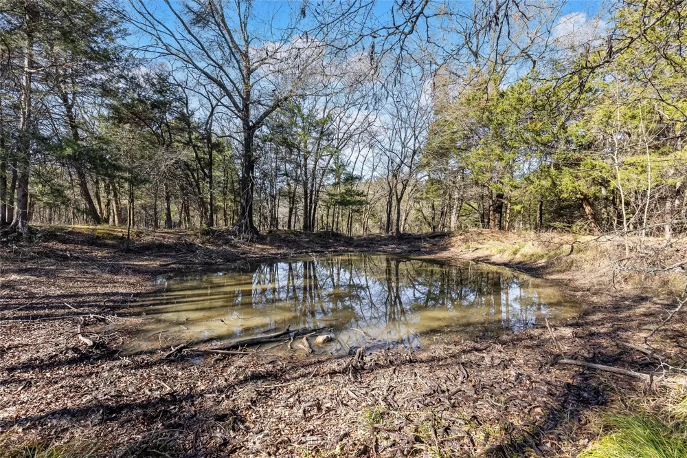 37 CR 1130 Cumby, TX 75402