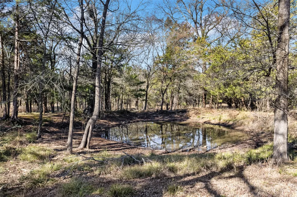37 CR 1130 Cumby, TX 75402