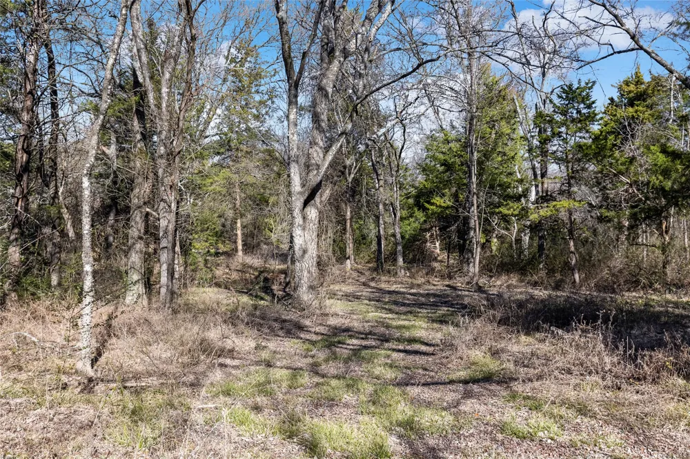 37 CR 1130 Cumby, TX 75402