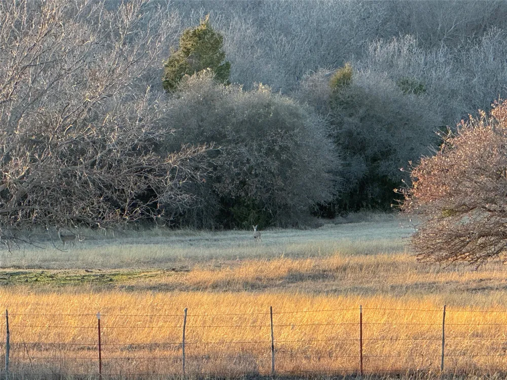 3078 Admire Road Nocona, TX 76255
