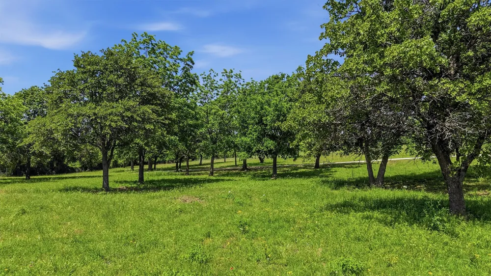 3078 Admire Road Nocona, TX 76255