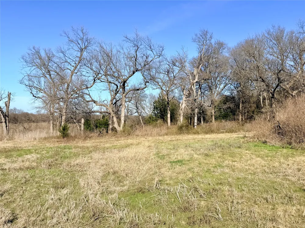 S Anthony Road Ennis, TX 75119