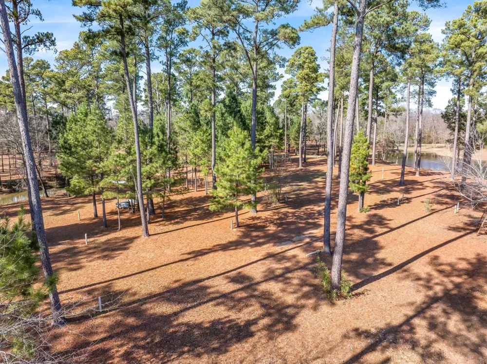 4776 FM 17 Grand Saline, TX 75140