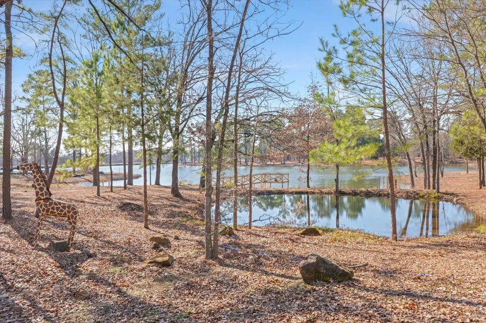 4776 FM 17 Grand Saline, TX 75140