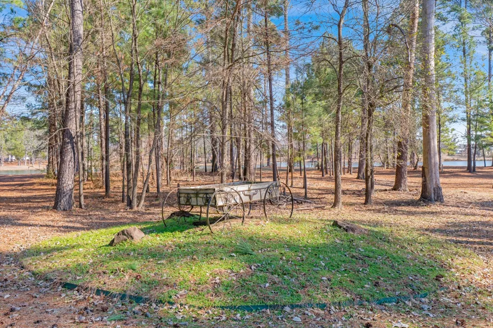 4776 FM 17 Grand Saline, TX 75140