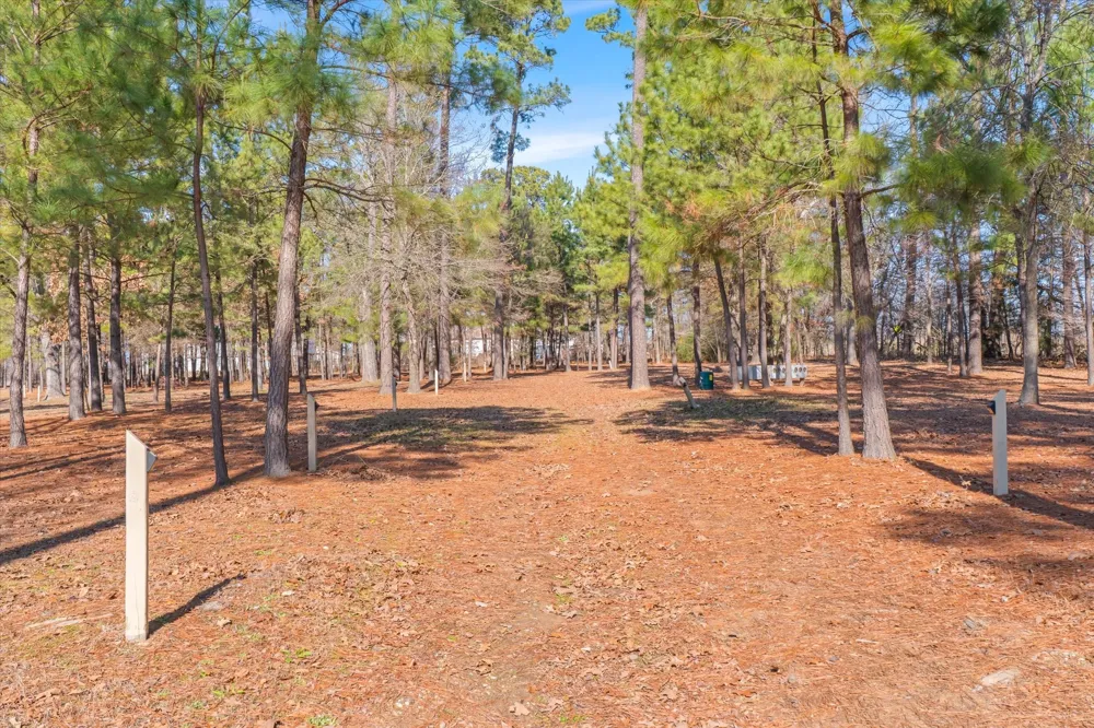 4776 FM 17 Grand Saline, TX 75140