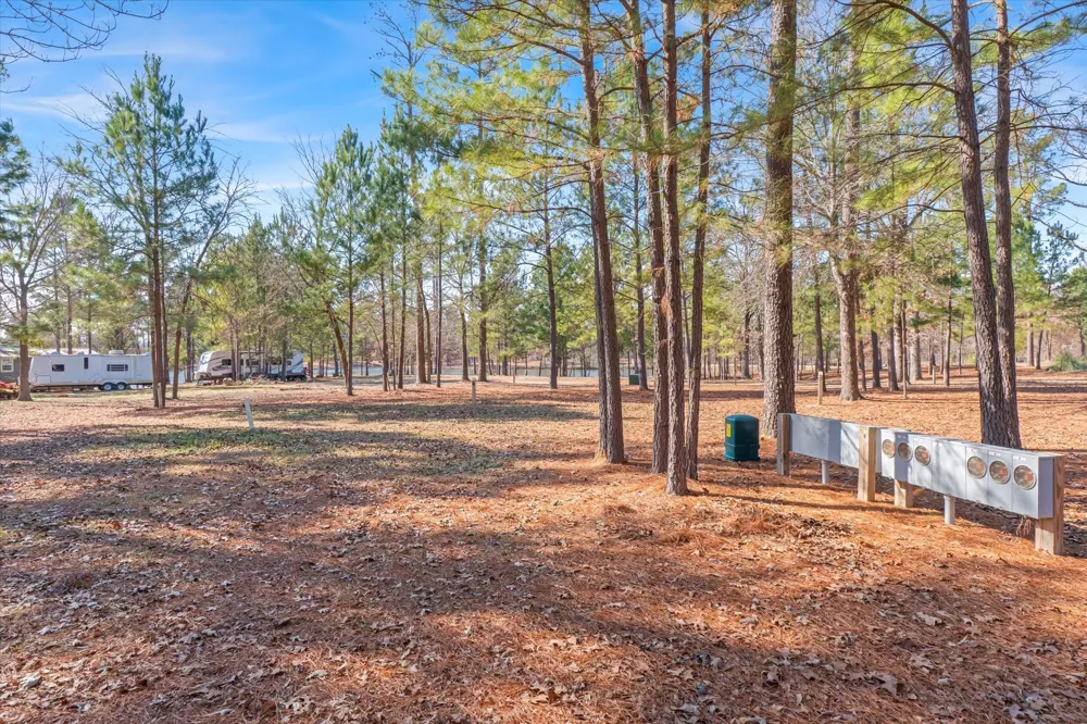 4776 FM 17 Grand Saline, TX 75140
