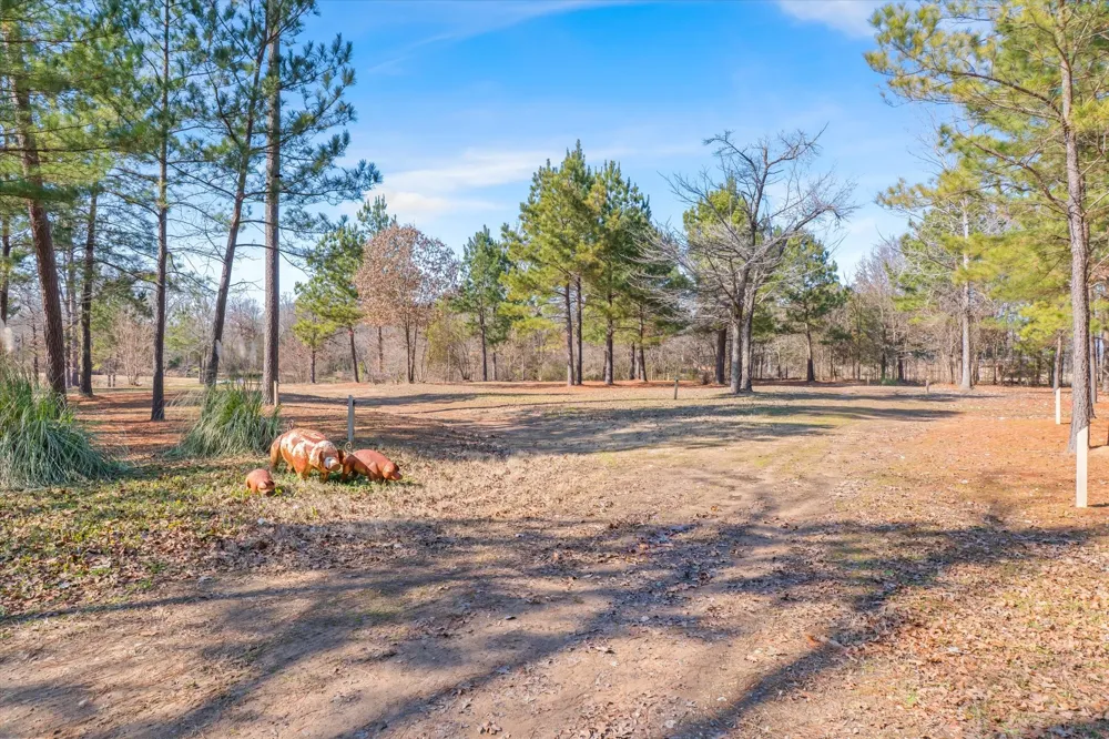 4776 FM 17 Grand Saline, TX 75140