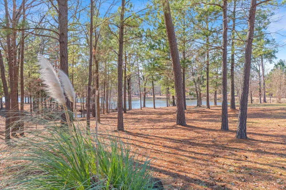 4776 FM 17 Grand Saline, TX 75140