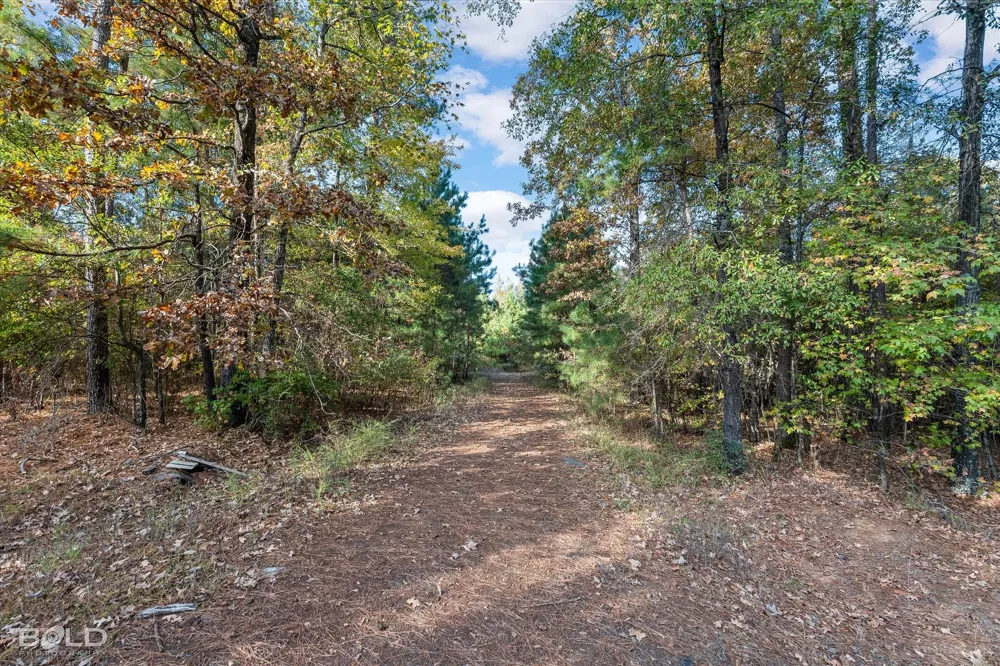 291 Parks Road Benton, LA 71006
