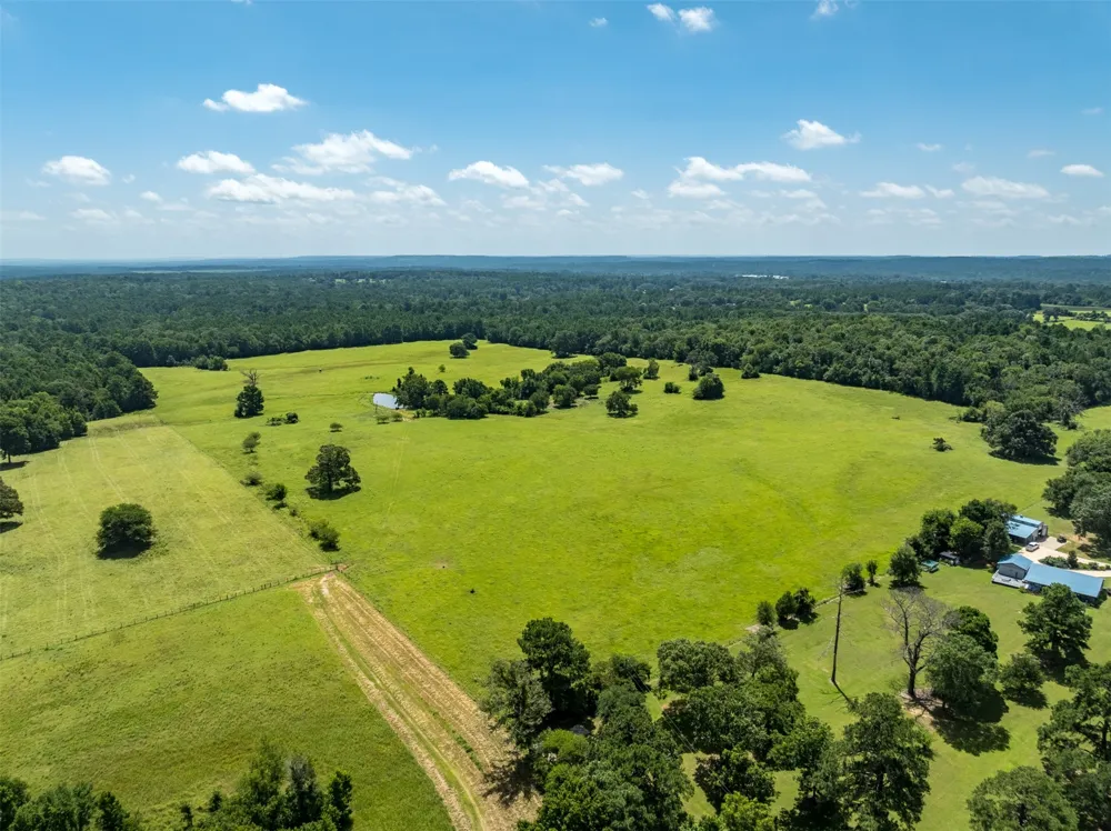 1044 ACR 379 Palestine, TX 75801
