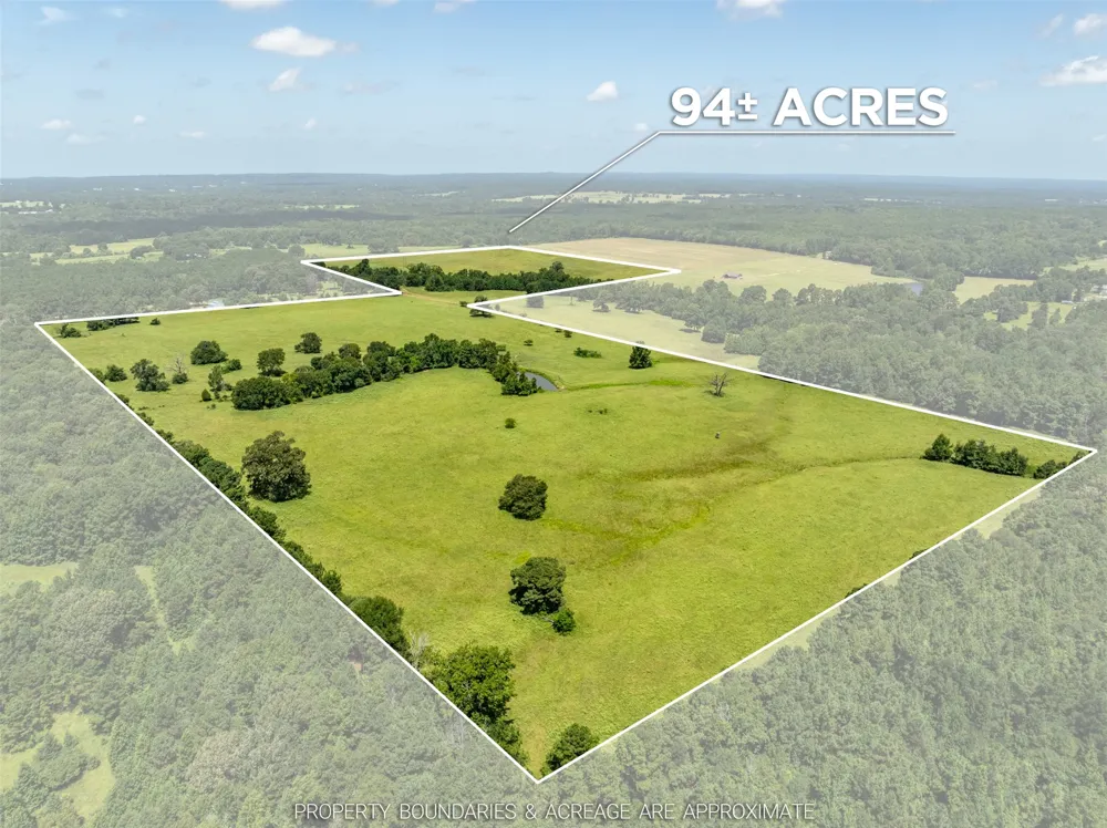 1044 ACR 379 Palestine, TX 75801