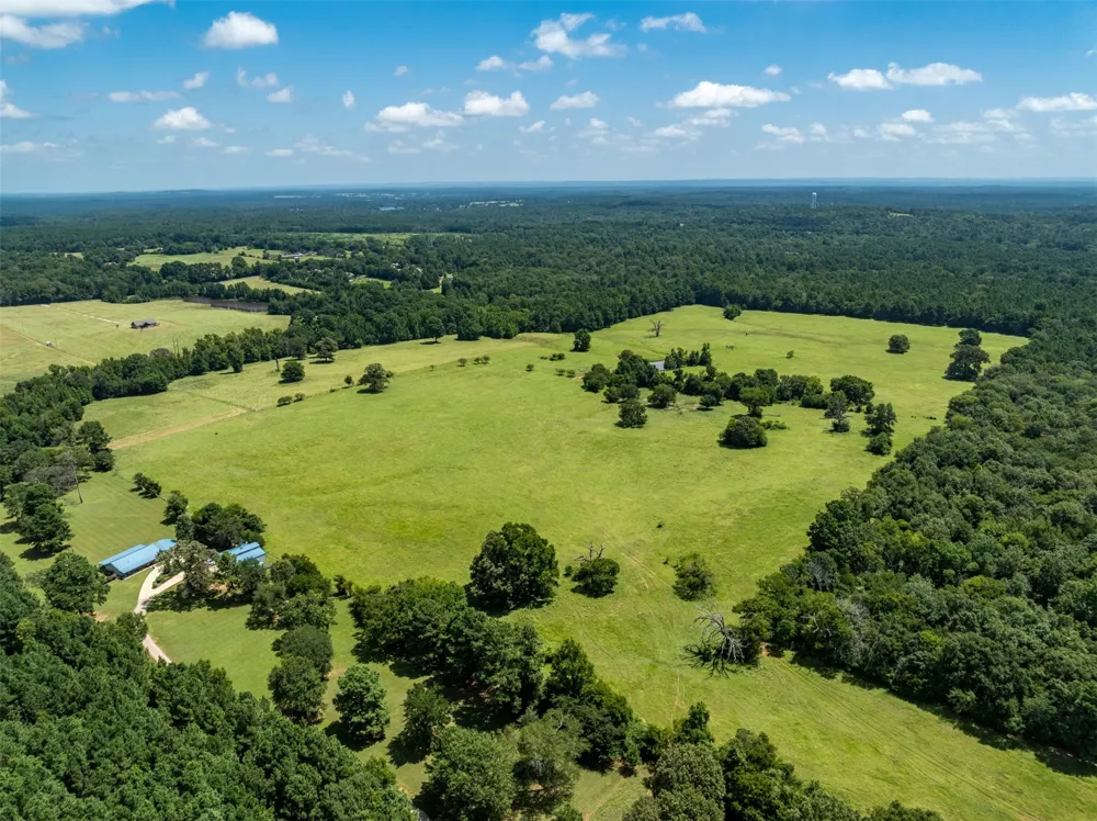 1044 ACR 379 Palestine, TX 75801