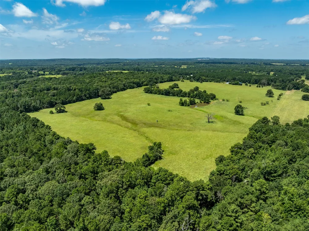 1044 ACR 379 Palestine, TX 75801