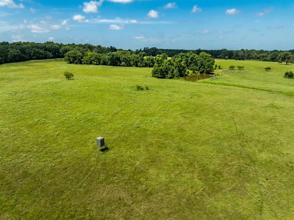 1044 ACR 379 Palestine, TX 75801