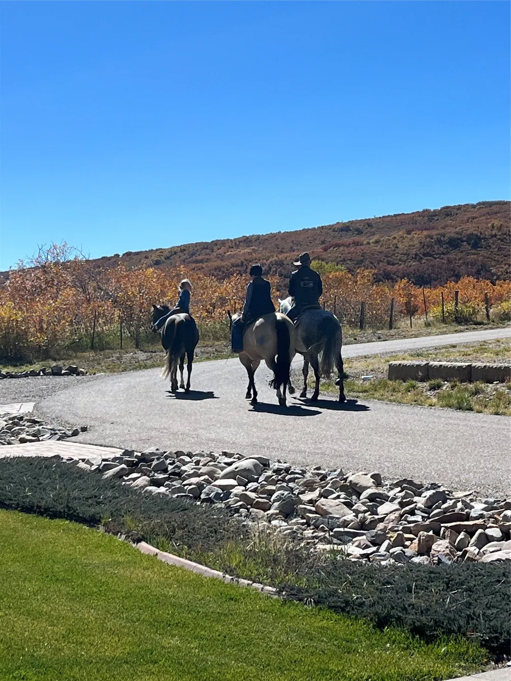 3456 CR 124 Durango, CO 81326