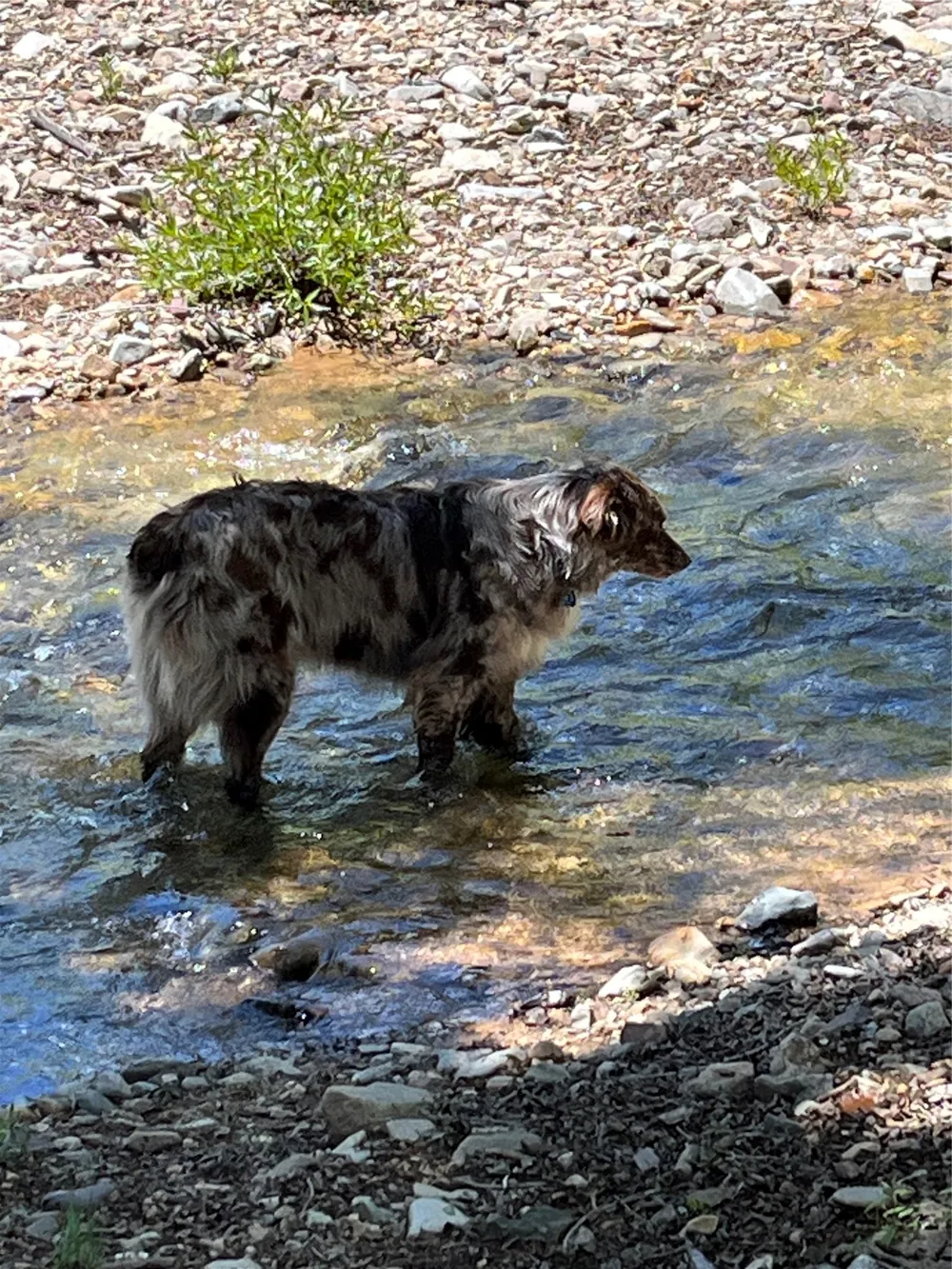 3456 CR 124 Durango, CO 81326